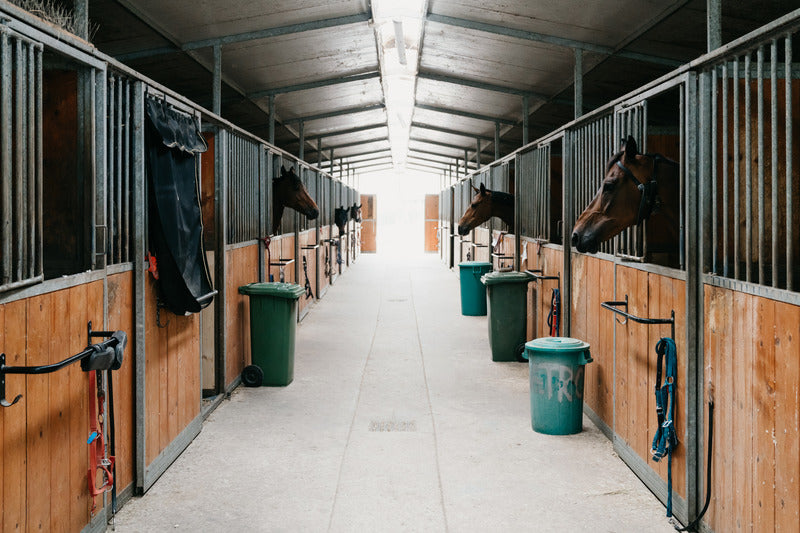 files/Barn_indoor_a7819bba-b1bf-4875-aba7-caf0e6b016e9.jpg files/Barn_indoor_a7819bba-b1bf-4875-aba7-caf0e6b016e9.jpg