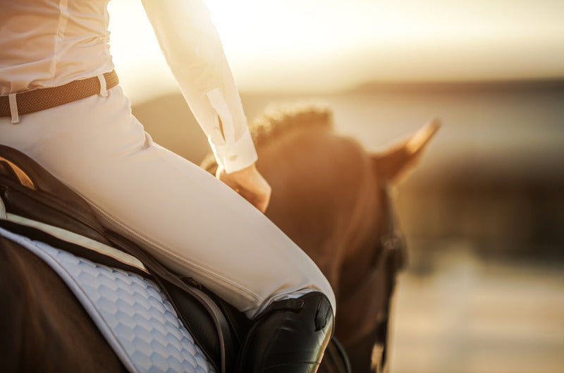 files/Classic_rider_4e188d53-99dd-41f8-9aab-fce6ea3c5f1f.jpg files/Classic_rider_4e188d53-99dd-41f8-9aab-fce6ea3c5f1f.jpg