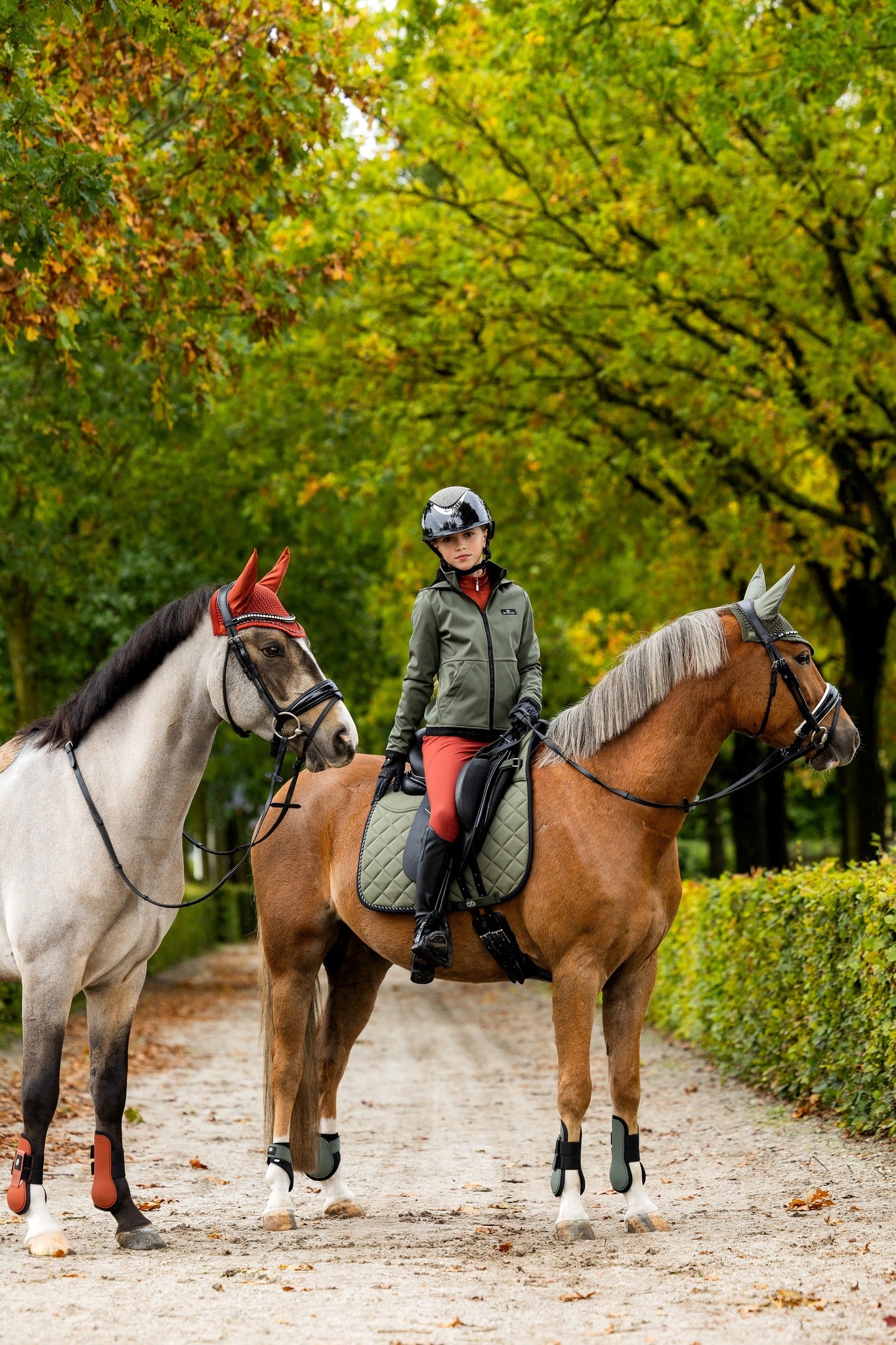 files/beetle_et_roasted_russet_enfant_chevaux.jpg