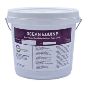 LOZANA Ocean Equin - 3kg