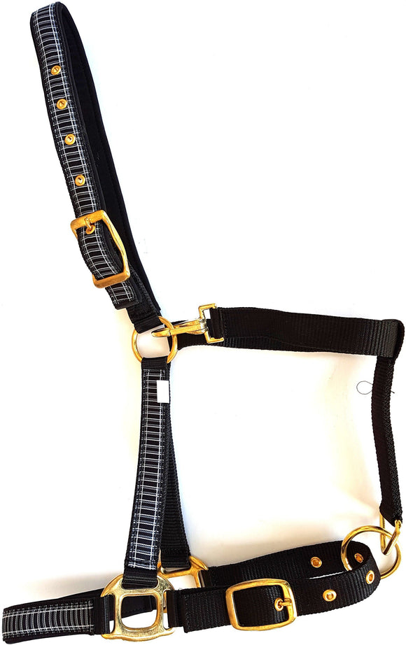 Licou nylon PP CanTack - Noir