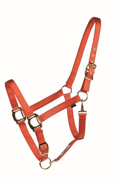 Licou COUNTRY LEGEND Shiny 292919 XL-Horse - 7 Couleurs