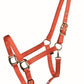 Licou COUNTRY LEGEND Shiny 292917 Cob - 7 Couleurs