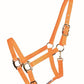 Licou COUNTRY LEGEND Shiny 292917 Cob - 7 Couleurs