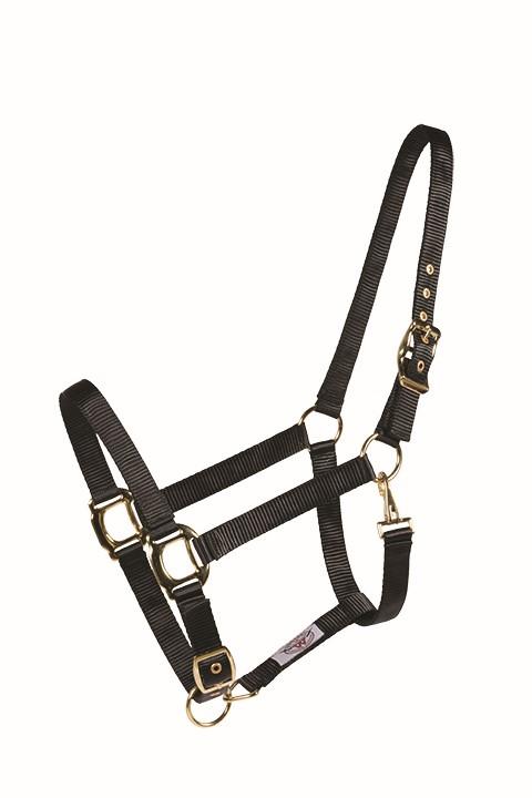 Licou COUNTRY LEGEND Shiny 292918 Cheval - 7 Couleurs