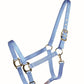 Licou COUNTRY LEGEND Shiny 292917 Cob - 7 Couleurs