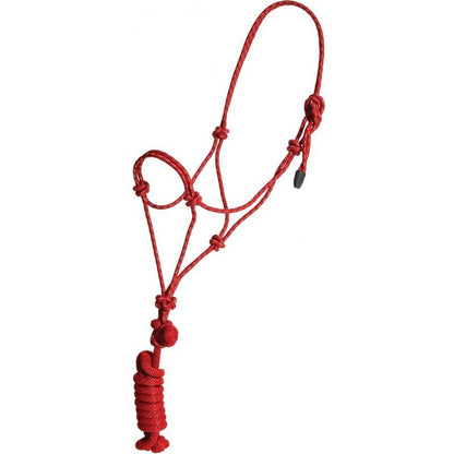 Licou/Laisse MUSTANG #292977 COLT 3 couleurs disponibles