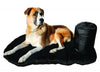 Coussin de voyage pour chien BACK ON TRACK 3031