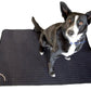 Tapis pour chiens BACK ON TRACK #3034
