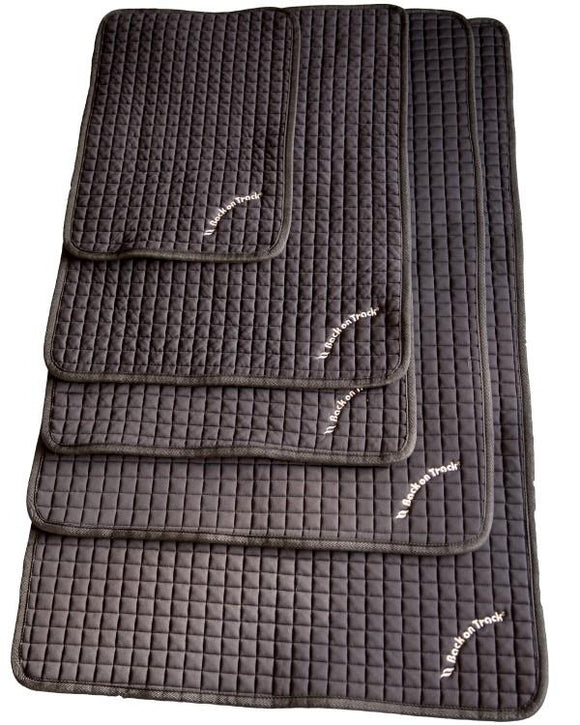 Tapis pour chiens BACK ON TRACK #3034