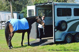 Serviette Equi Cool Down pour chevaux - Taille universelle