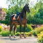 Tapis de dressage ANKY de collection #A16639 T025 Cuivre