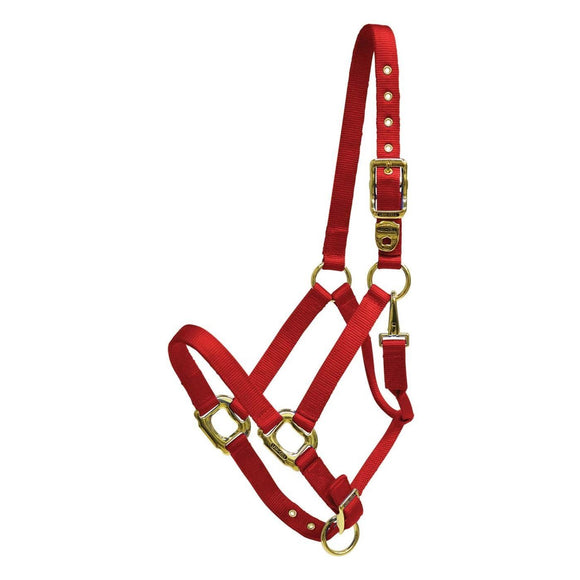 Licou LAMICELL Yearling 300-500lb 292794 - Couleurs variées
